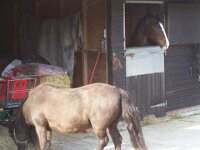 UKMay2007 010