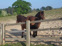 UKMay2007 016