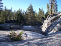 YosemiteSep07 007